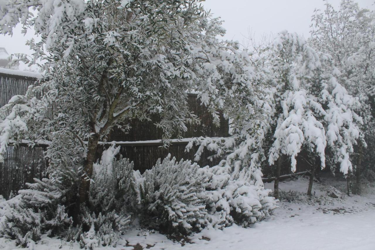 פסגת מתת Pisgat Mattat Villa Exterior foto