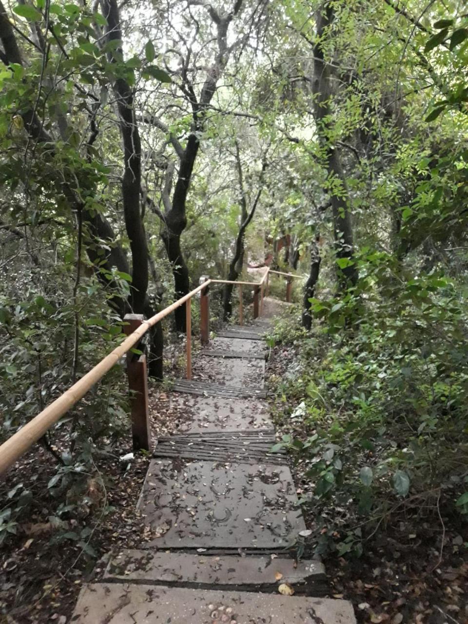 פסגת מתת Pisgat Mattat Villa Exterior foto